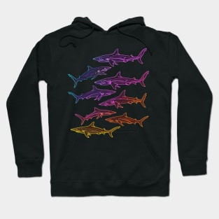 Shark Rehabilitation Successes Hoodie